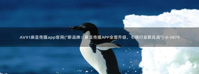 麻豆传媒官网 亚瑟：AV91麻豆传媒app官网(\