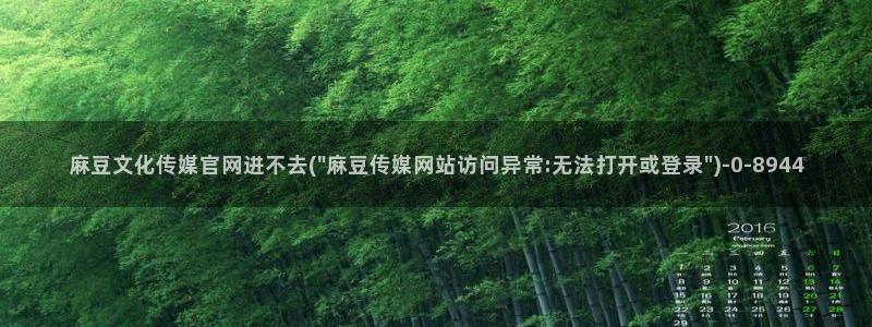 麻豆精品传媒官网入口：麻豆文化传媒官网进不去(\