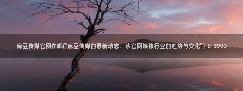 麻豆传媒直播官网三三：麻豆传媒官网在哪(\