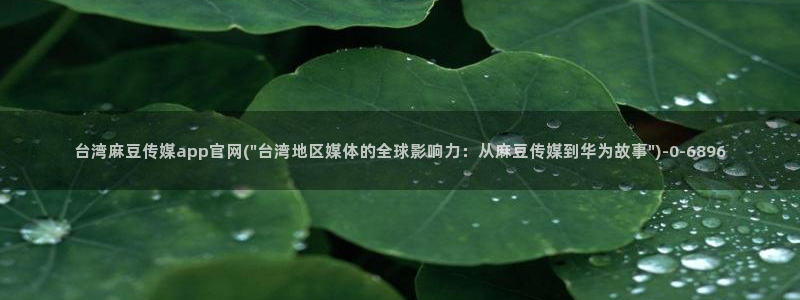 mdl pub麻豆传媒官网