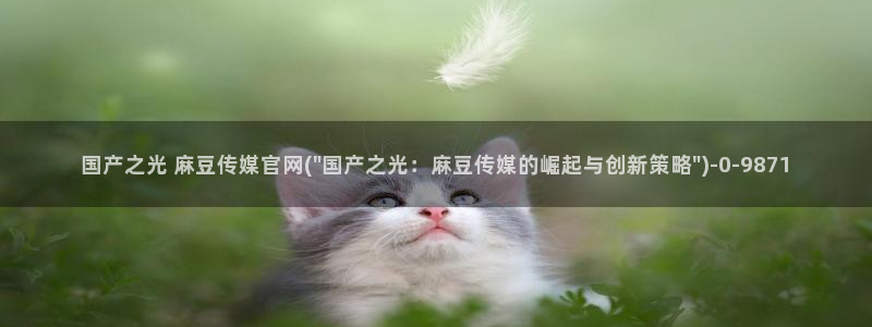 麻豆传媒官网刘思：国产之光 麻豆传媒官网(\