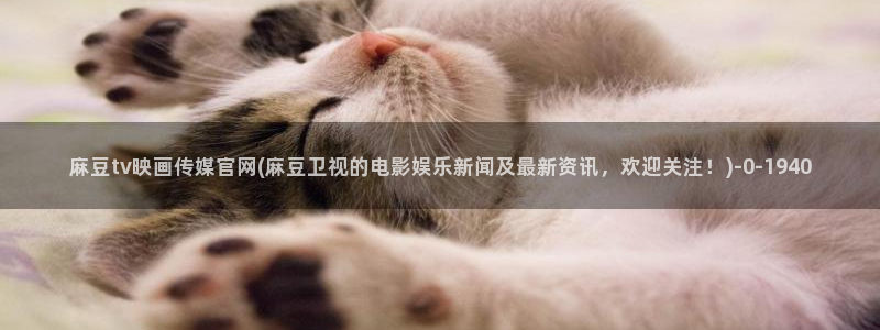 麻豆传媒官网在线观：麻豆tv映画传媒官网(麻豆卫视的电影娱乐新闻及最新资讯，欢迎关注！)