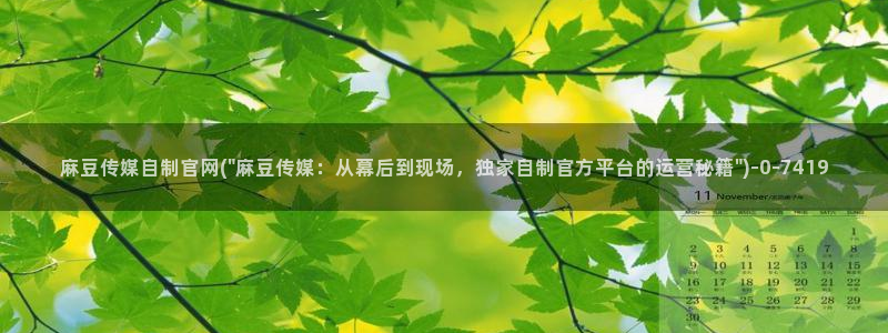 麻豆传媒体官网：麻豆传媒自制官网(\