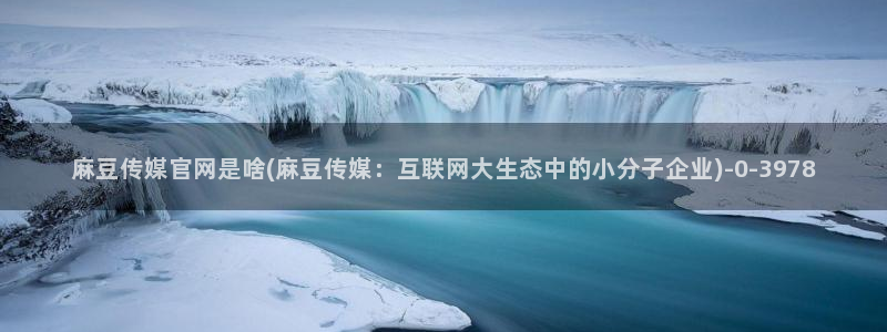 麻豆经济传媒官网：麻豆传媒官网是啥(麻豆传媒：互联网大生态中的小分子企业)