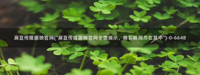 麻豆传媒官网多少啊